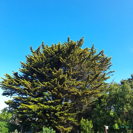 Le Stud' A Saint Pierre D'Oleron ! Apartment Phòng bức ảnh